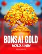 Bonsai Gold Hold & Win