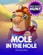 Mole in the Hole