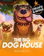 The Big Dog House