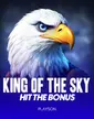 King of the Sky: Hit the Bonus™